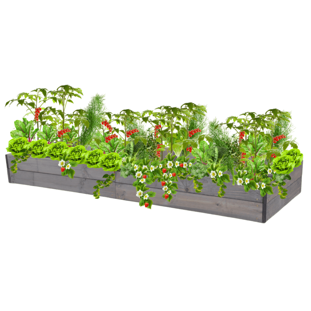 Skrzynia na warzywa skrzynie na warzywniak inspekt donica grządka 18x160x80