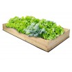 Skrzynia na warzywa skrzynie na warzywniak inspekt donica grządka 27x160x100