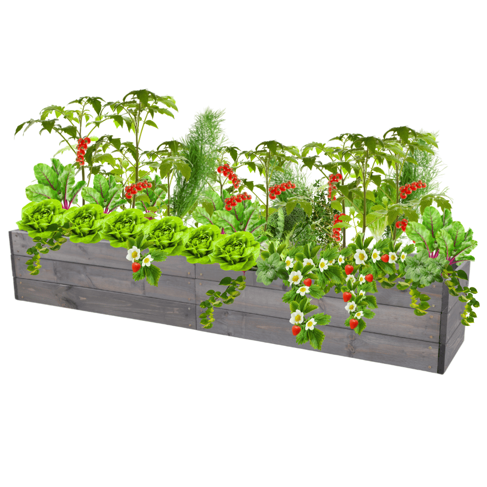 Skrzynia na warzywa skrzynie na warzywniak inspekt donica grządka 27x160x30