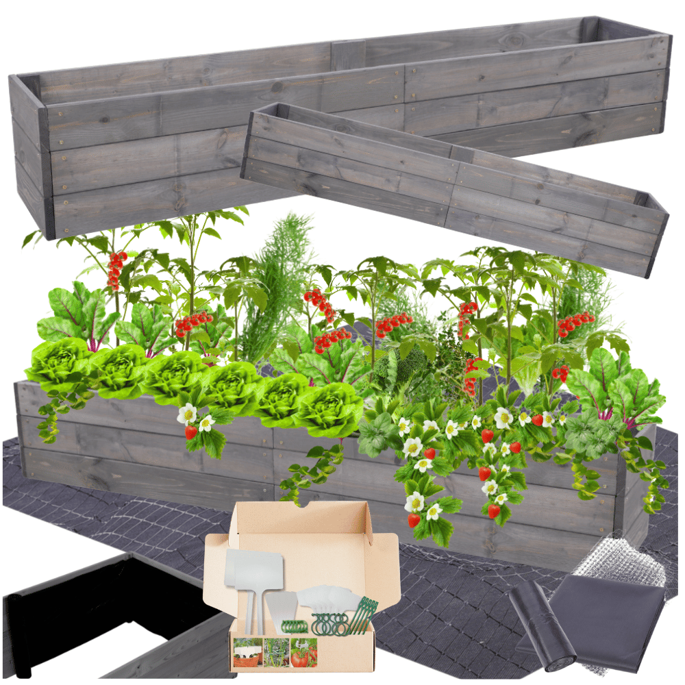 Skrzynia na warzywa skrzynie na warzywniak inspekt donica grządka 27x240x30