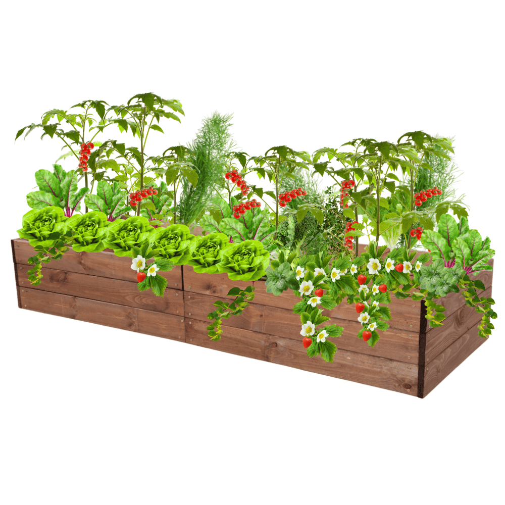 Skrzynia na warzywa skrzynie na warzywniak inspekt donica grządka 27x240x60