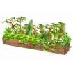 Skrzynia na warzywa skrzynie na warzywniak inspekt donica grządka 18x200x30