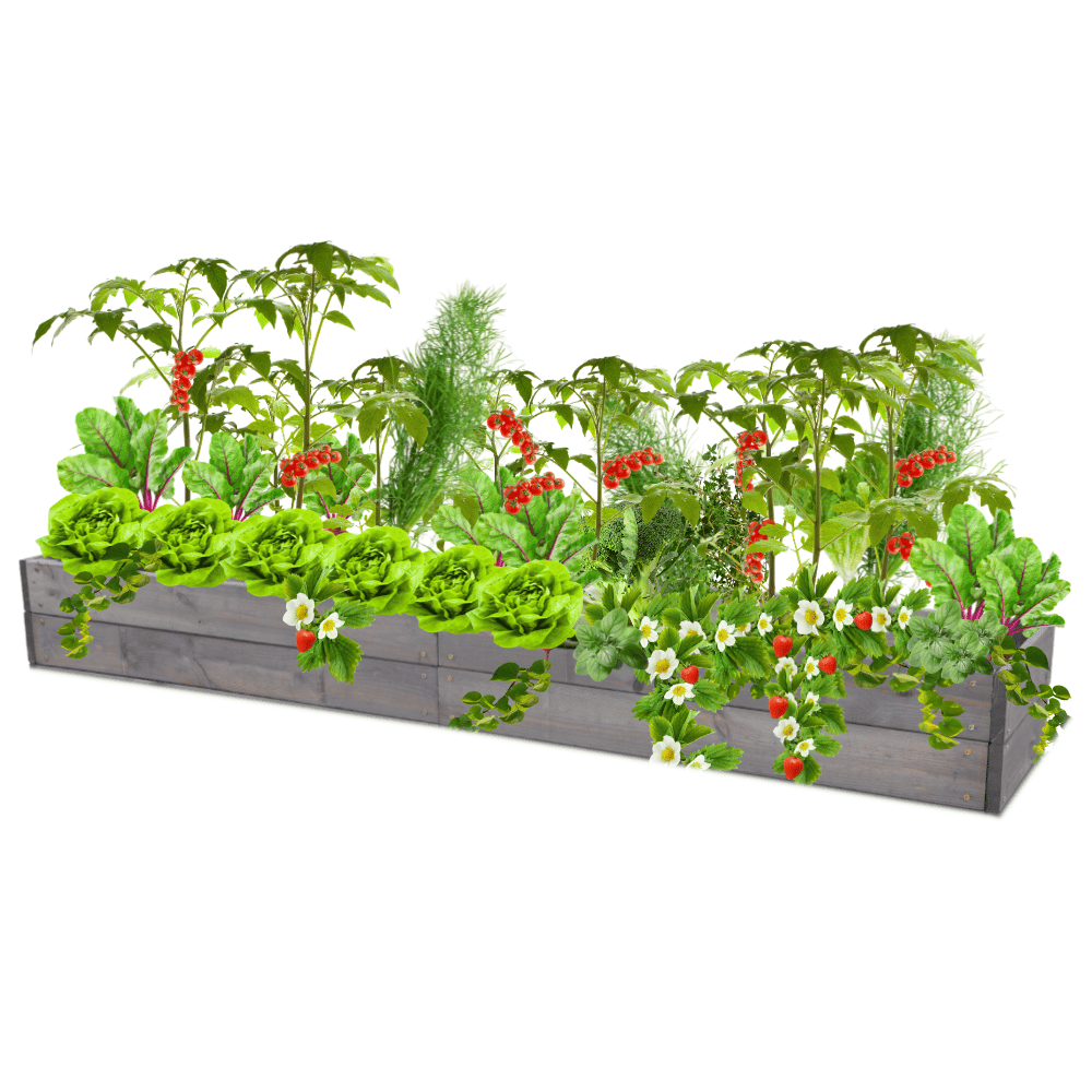 Skrzynia na warzywa skrzynie na warzywniak inspekt donica grządka 18x200x30