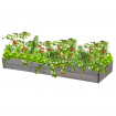 Skrzynia na warzywa skrzynie na warzywniak inspekt donica grządka 18x240x90