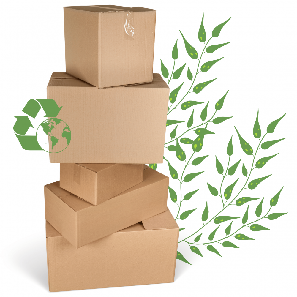 Skrzynka na warzywa owoce skrzynki DREWNIANE DNO 46x30 cm skrzyneczka EKO