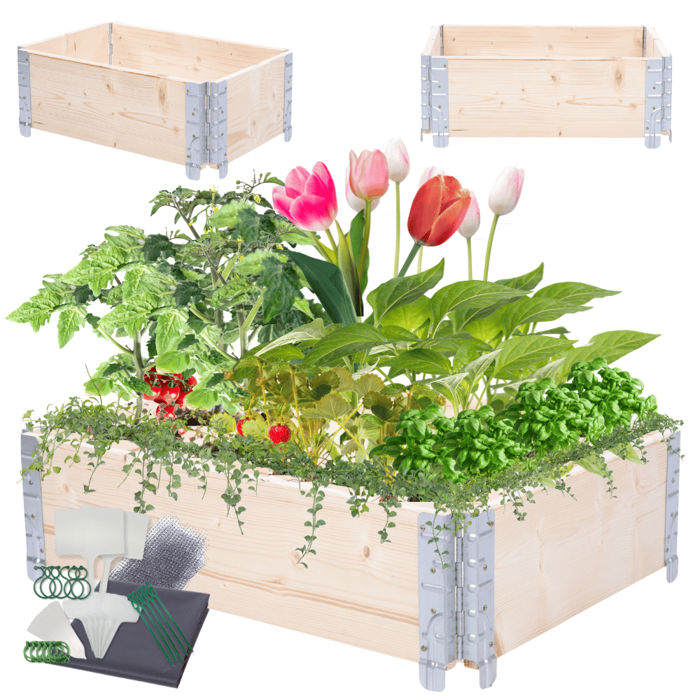 Skrzynia na warzywa impregnowana skrzynie na warzywniak inspekt 20X60X40