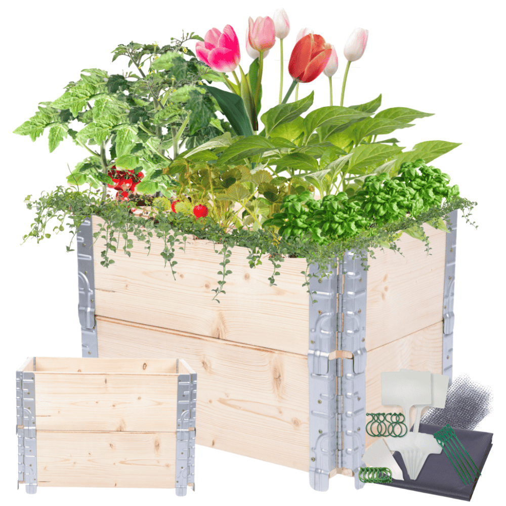 Skrzynia na warzywa impregnowana skrzynie na warzywniak inspekt 40X60X40