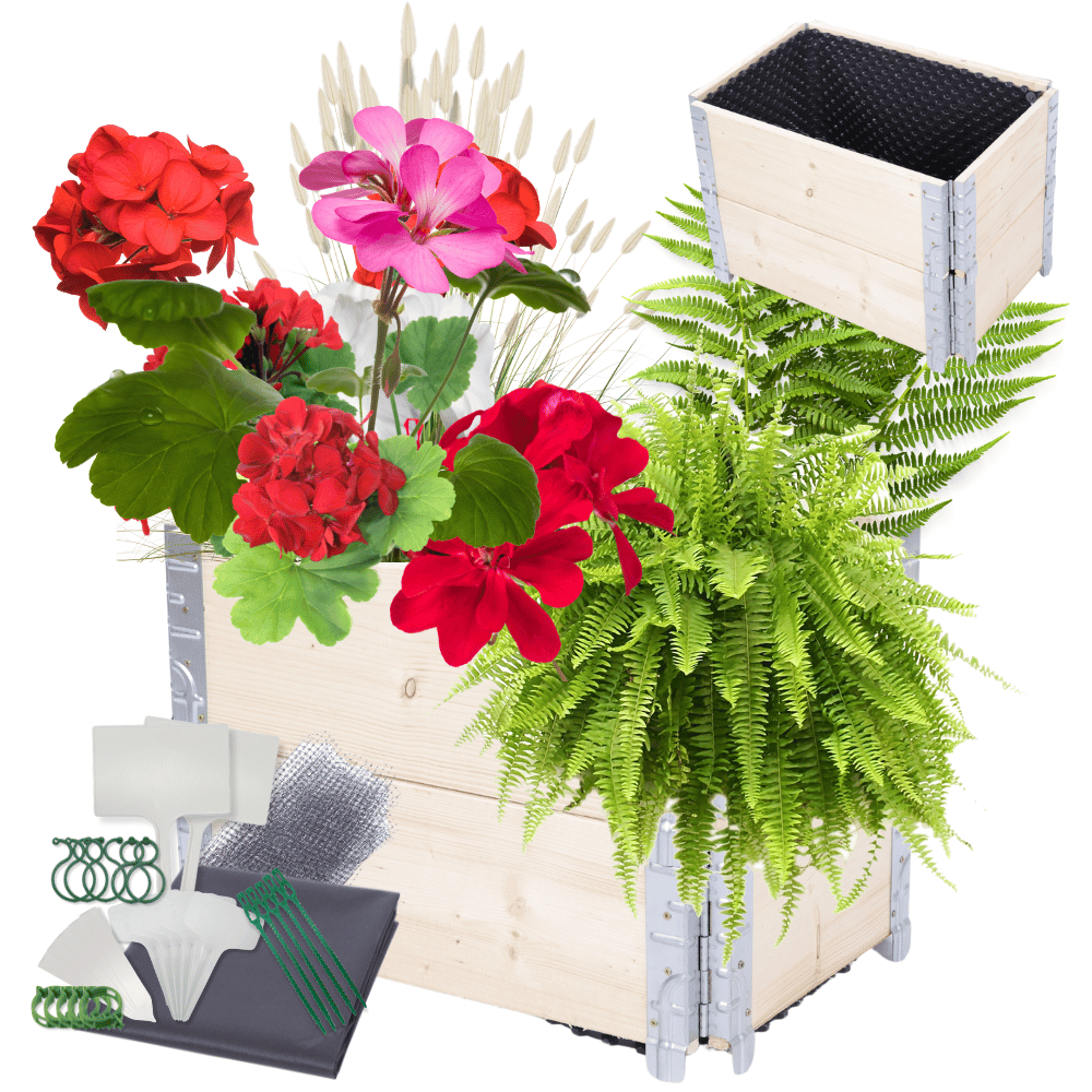 Skrzynia na warzywa FOLIA KUBEŁKI skrzynie na warzywniak inspekt 40X60X40