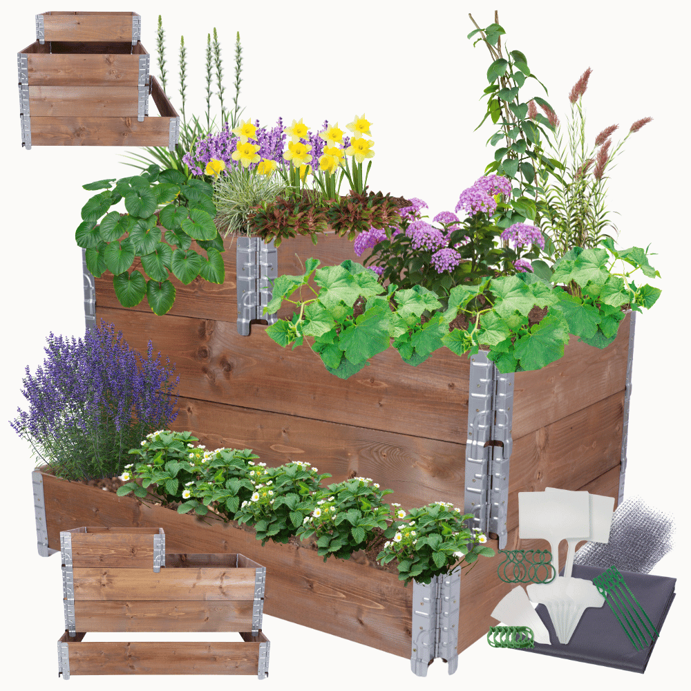 Skrzynia na warzywa DONICA GRZĄDKA skrzynie na warzywniak inspekt 60X120X100