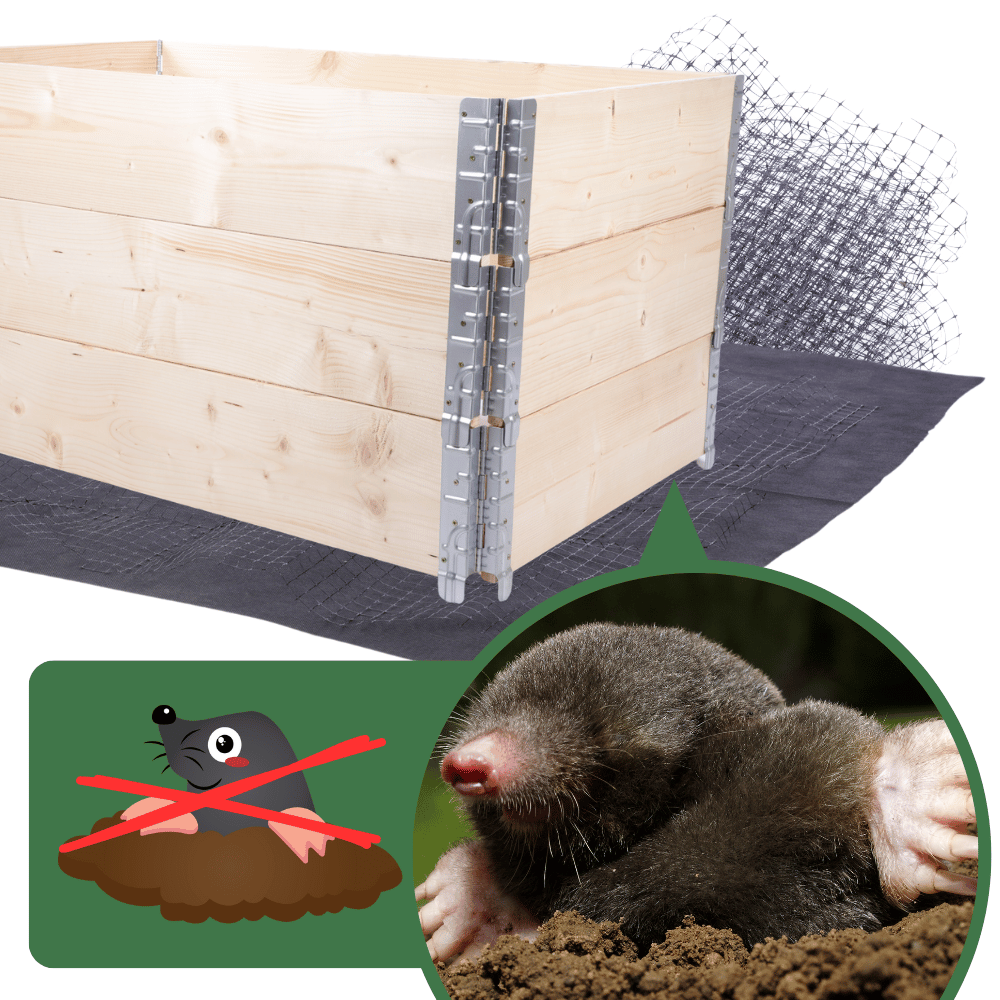 Skrzynia na warzywa DONICA GRZĄDKA skrzynie na warzywniak inspekt 60X120X80