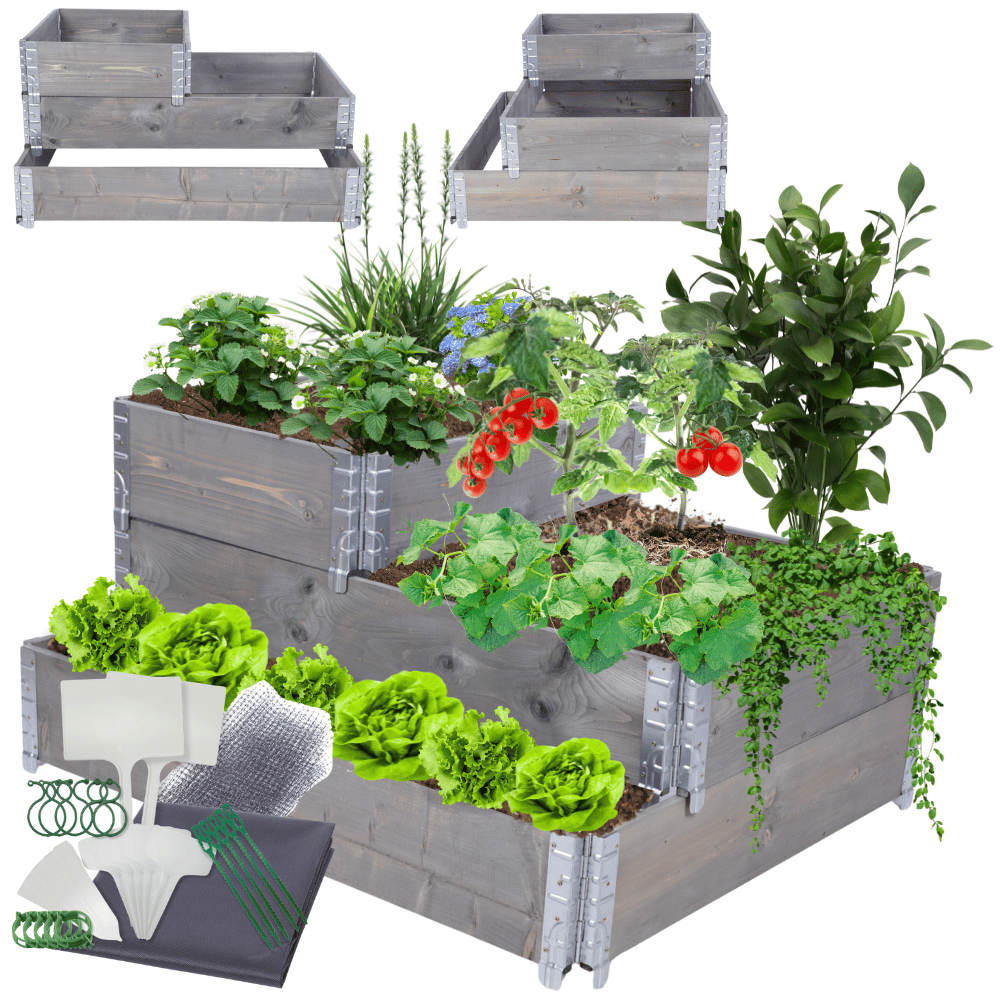 Skrzynia na warzywa DONICA GRZĄDKA skrzynie na warzywniak inspekt 60X120X100