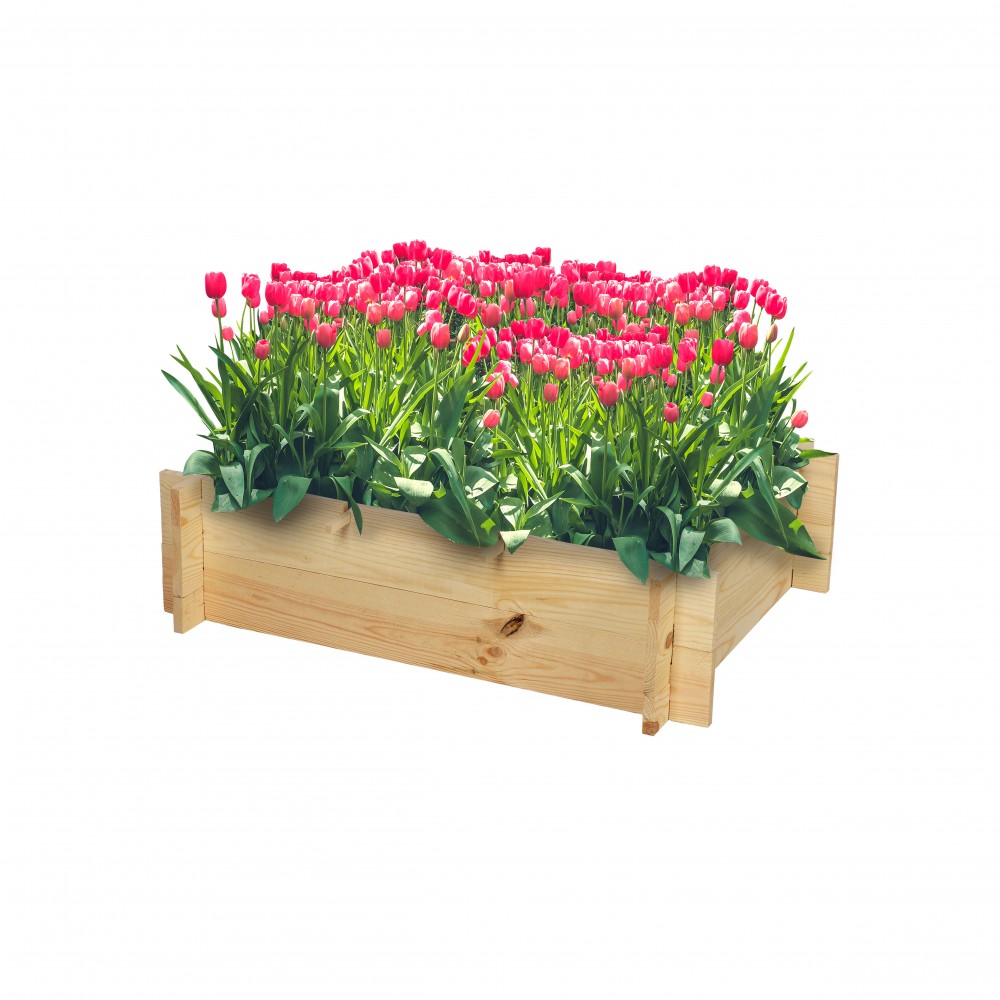 Skrzynia na warzywa zioła grządka podwyższona donica zielnik 80x60cm ECO