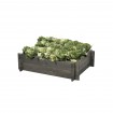 Skrzynia na warzywa zioła grządka podwyższona warzywniak zielnik 80x60cm ECO