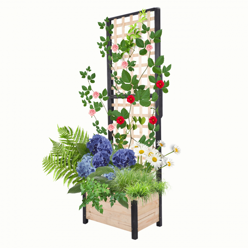 Nadstawka do pergoli drewnianej ogrodowej szer. 60cm MODUŁOWA IMPREGNACJA