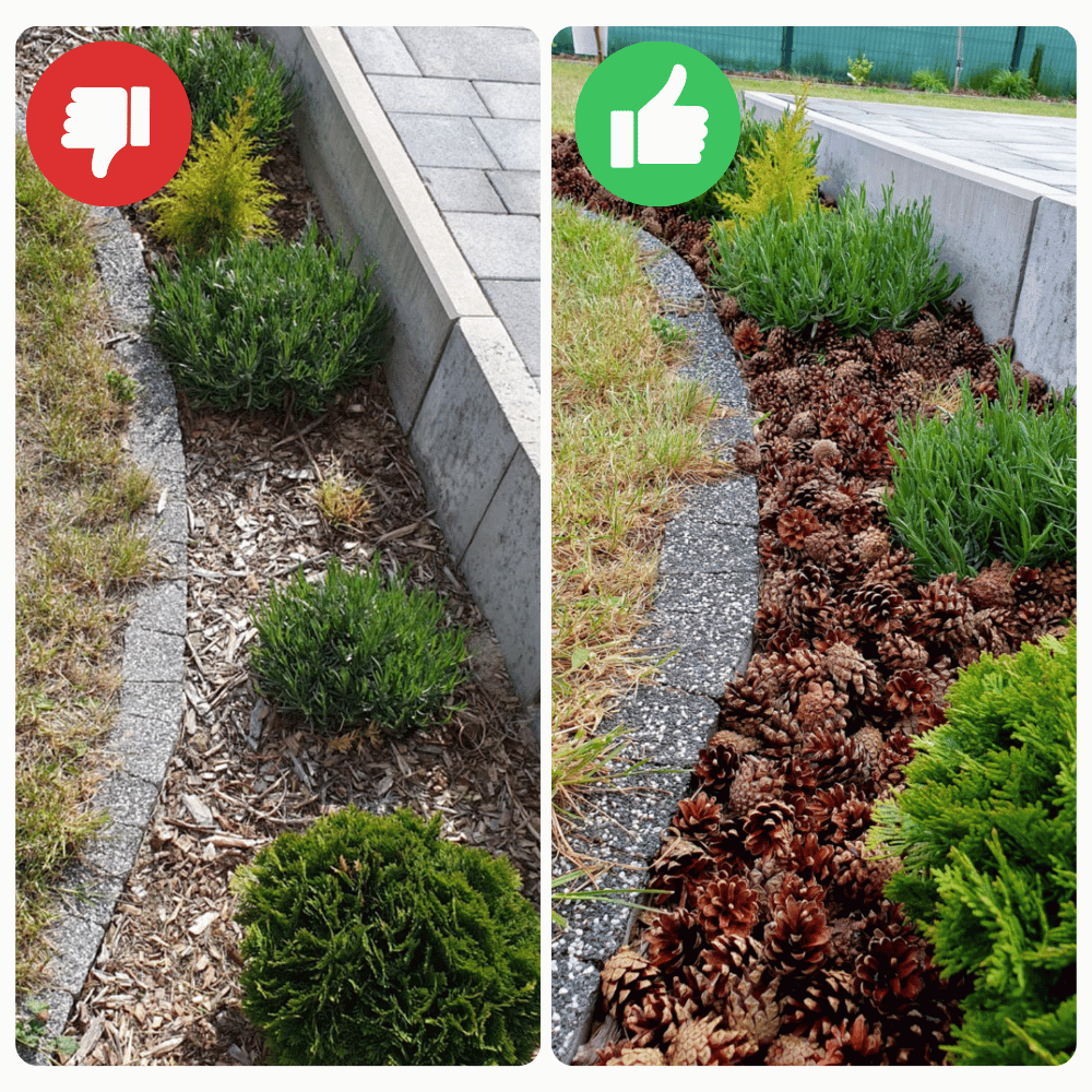 SZYSZKI DO OGRODU  na RABATY ŚCIÓŁKĘ GRZĄDKI DEKORACJE eko 10KG 50L 1500SZT