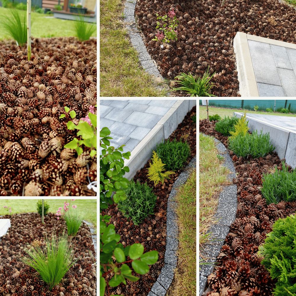 SZYSZKI DO OGRODU  na RABATY ŚCIÓŁKĘ GRZĄDKI DEKORACJE eko 14KG 70L 2100SZT