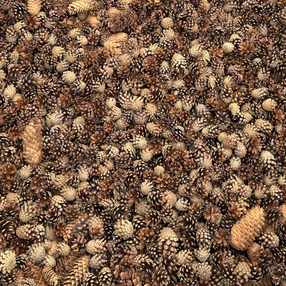 SZYSZKI DO OGRODU  na RABATY ŚCIÓŁKĘ GRZĄDKI DEKORACJE eko 25KG 120L 3700SZT