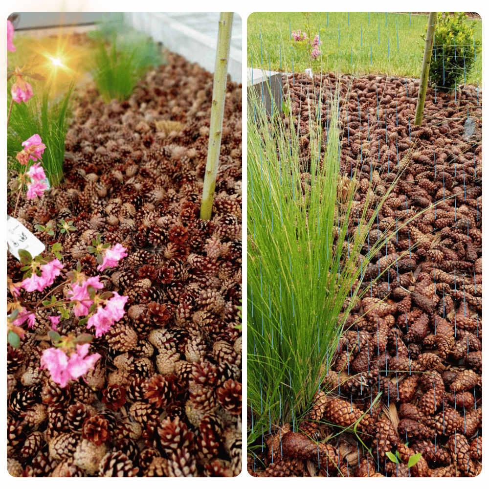 SZYSZKI DO OGRODU  na RABATY ŚCIÓŁKĘ GRZĄDKI DEKORACJE eko 25KG 120L 3700SZT