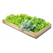 Warzywnik skrzynia inspekt donica grządka podwyższona zielnik 18x160x100