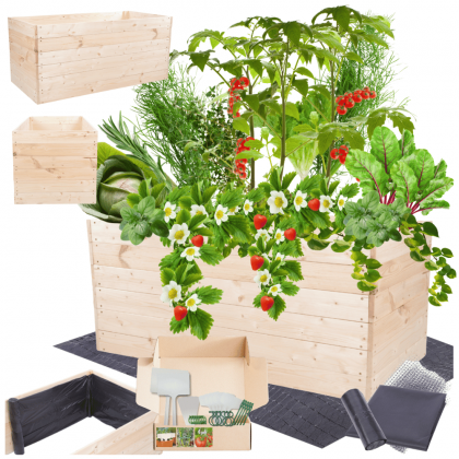 Warzywniak skrzynie inspekt donica grządka podwyższona zielnik 54x120x80