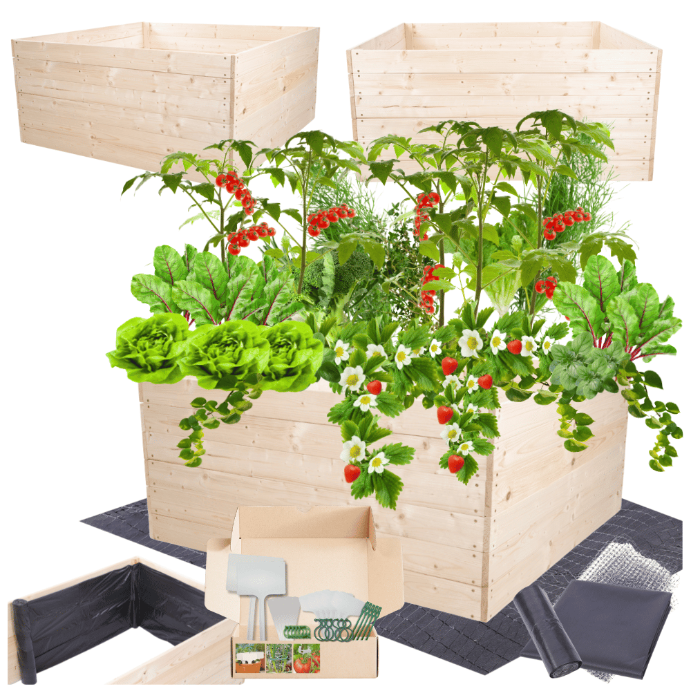 Grządka podwyższona warzywniak skrzynia inspekt donica ogrodowa 54x120x120