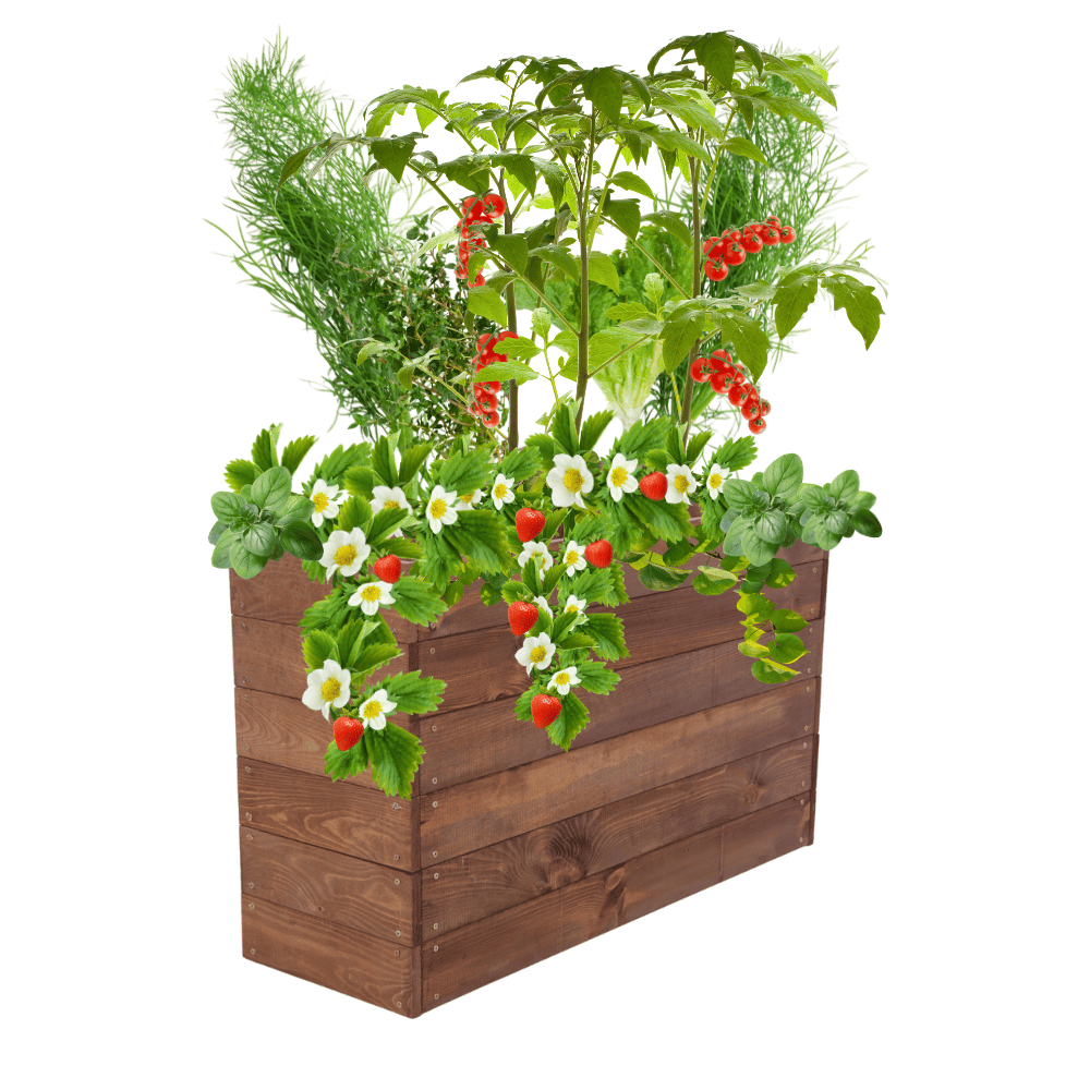 Grządka podwyższona warzywniak skrzynia inspekt donica impregnat 54x100x30