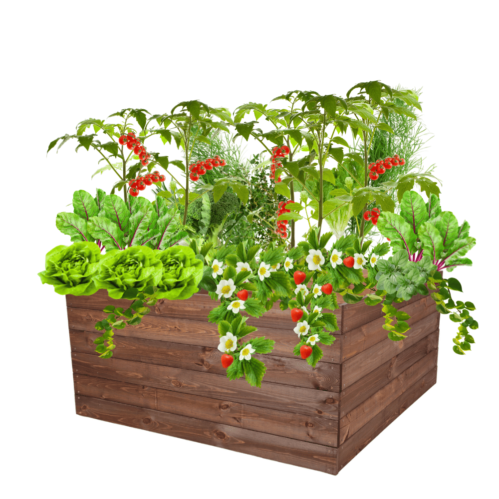 Grządka podwyższona warzywniak skrzynia inspekt donica impregnat 54x100x100