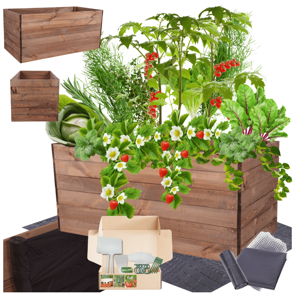 Grządka podwyższona warzywniak skrzynia inspekt donica impregnat 54x120x60