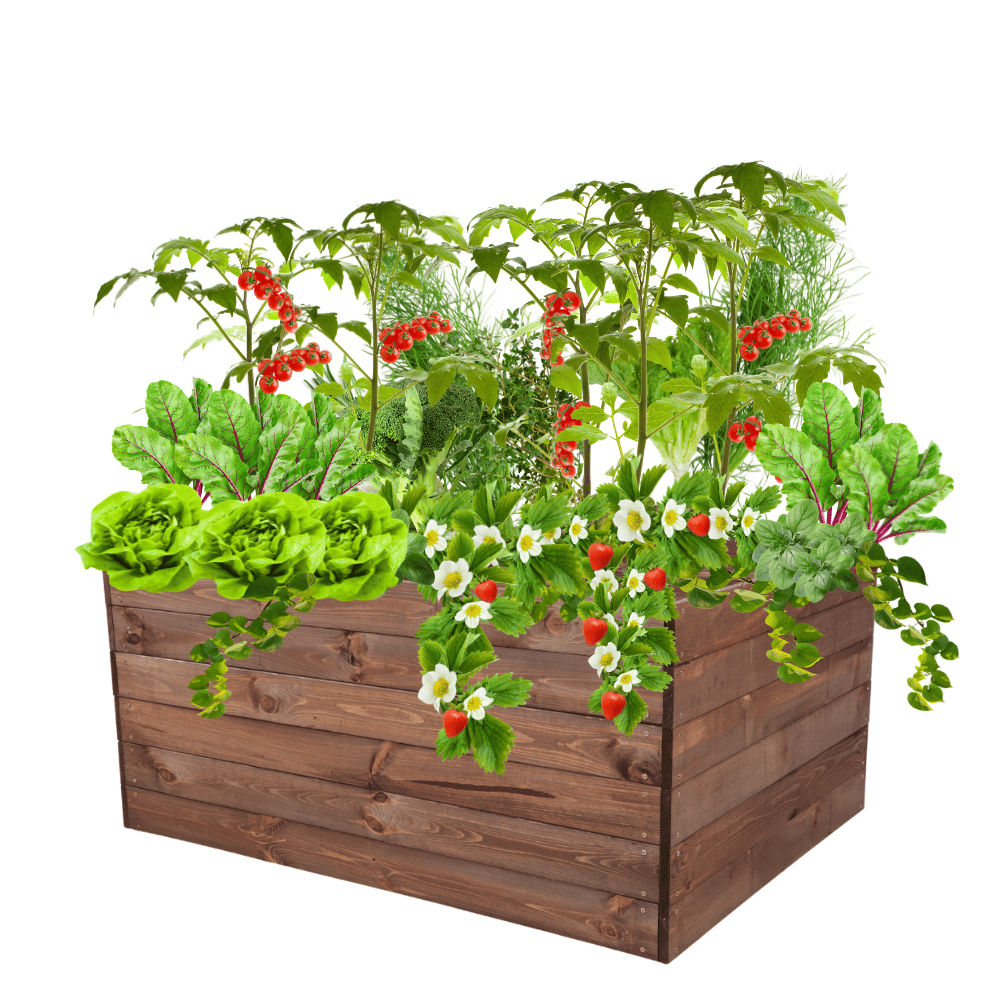 Skrzynia warzywniak inspekt donica grządka podwyższona impregnat 54x120x100