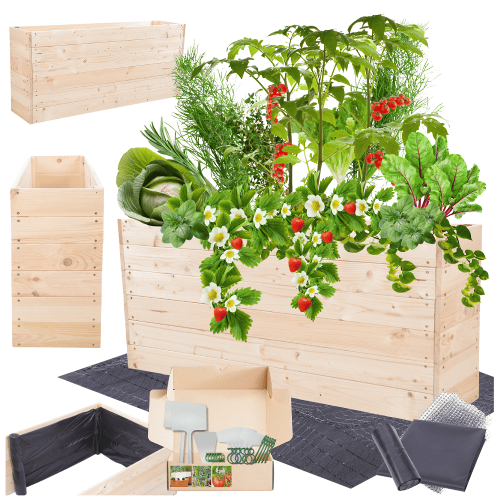 Warzywnik skrzynie inspekt donica grządka podwyższona impregnat 54x120x30