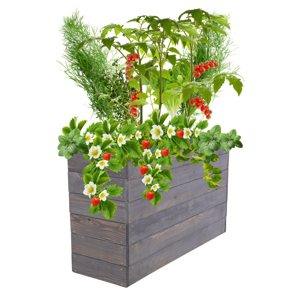 Podwyższona grządka warzywnik skrzynie inspekt donica impregnat 54x90x30