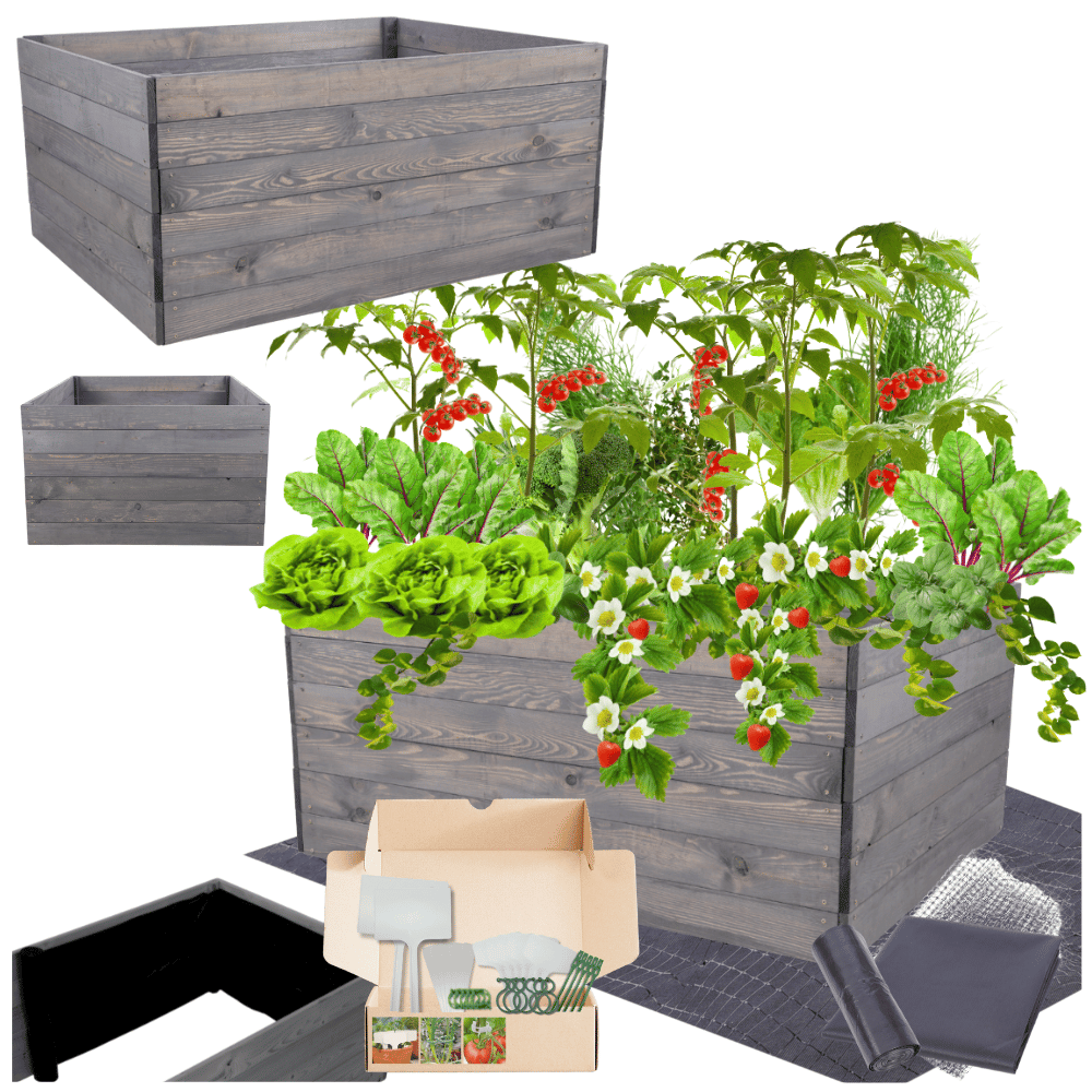 Donica warzywniak skrzynia inspekt grządka podwyższona impregnat 54x120x100