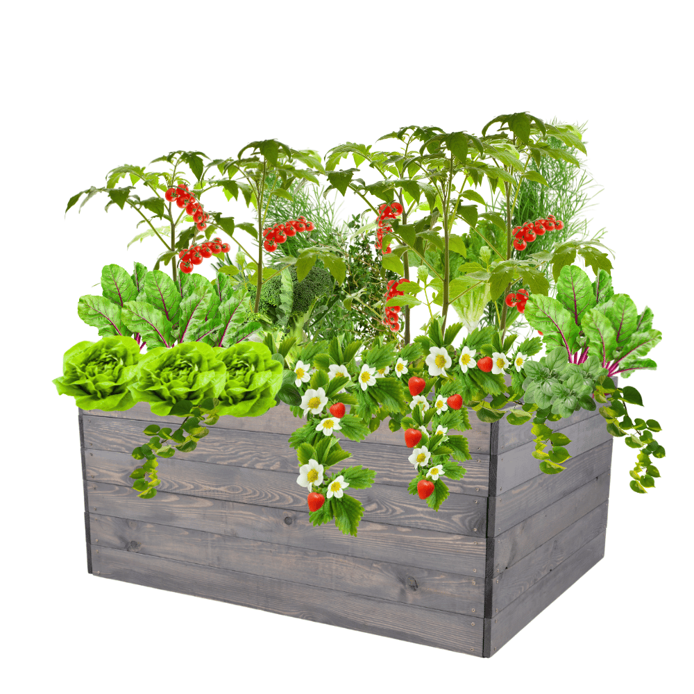 Donica warzywniak skrzynia inspekt grządka podwyższona impregnat 54x120x100
