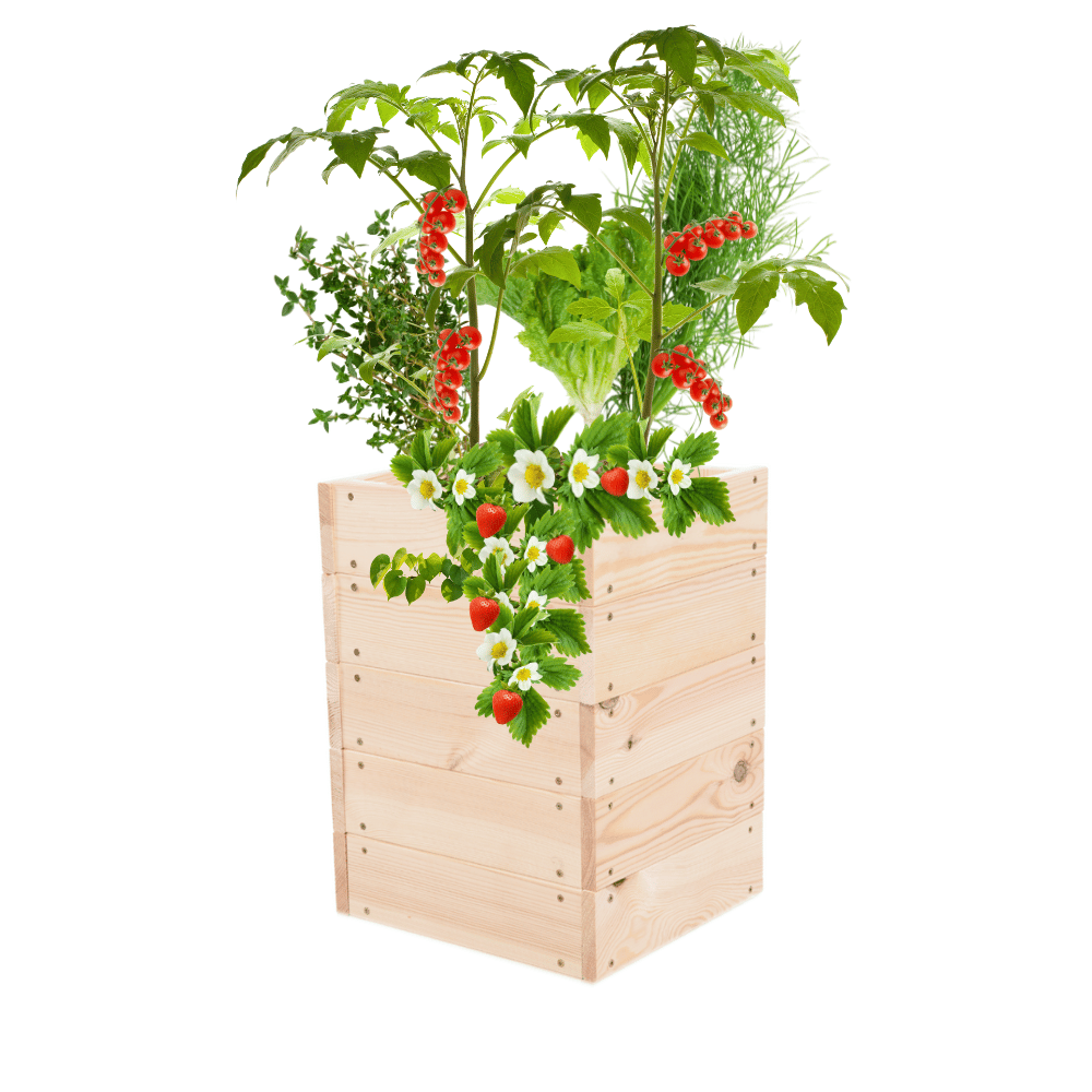 Podwyższona grządka warzywniak skrzynia inspekt donica impregnat 45x30x30