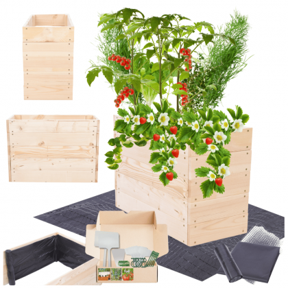 Podwyższona grządka warzywniak skrzynia inspekt donica impregnat 45x60x30