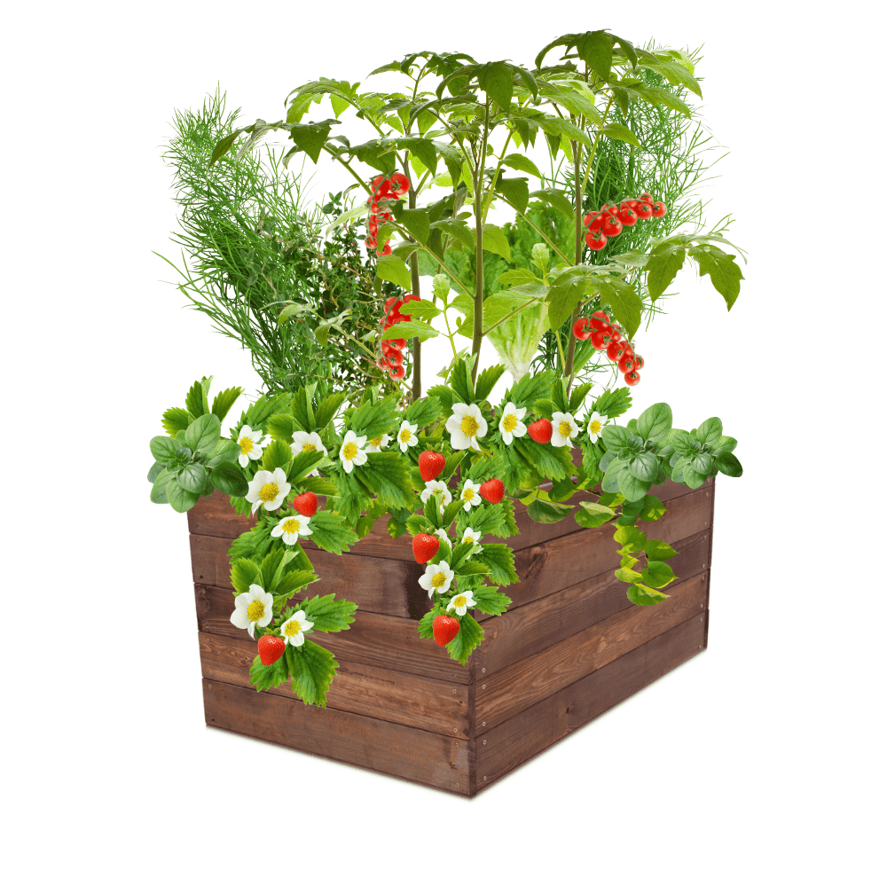 Grządka podwyższona warzywniak skrzynia inspekt donica impregnat 45x90x60