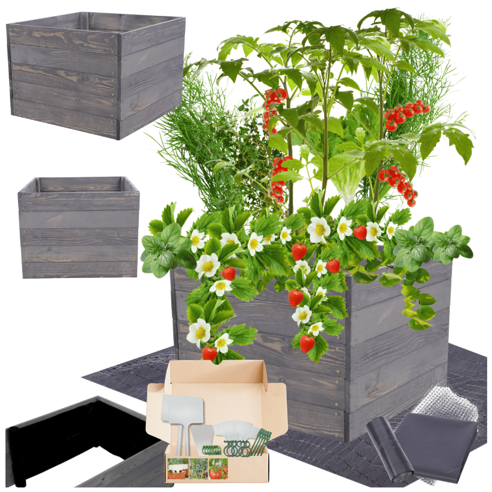 Podwyższona grządka warzywnik skrzynie inspekt donica impregnat 45x90x60