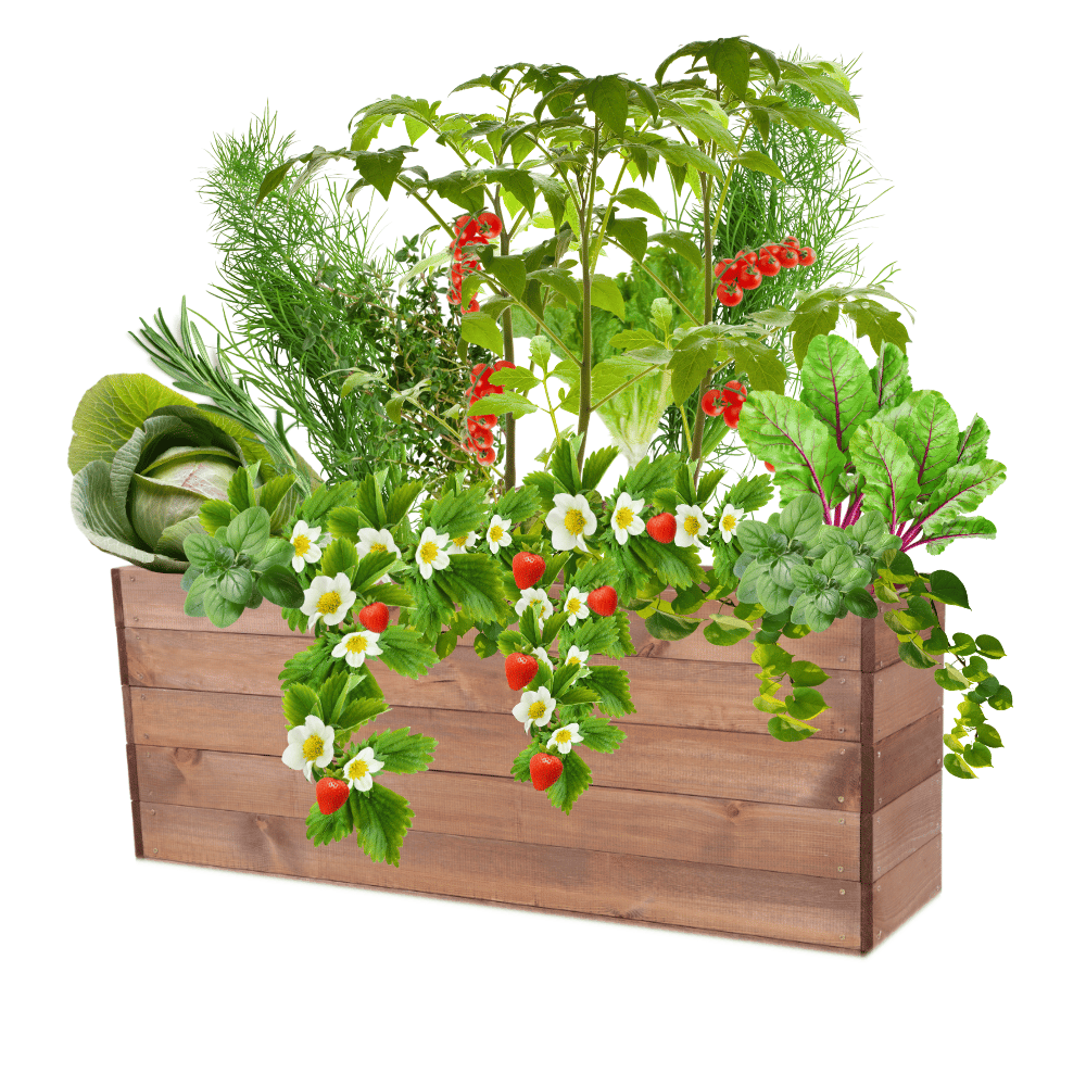 Grządka podwyższona warzywniak skrzynia inspekt donica impregnat 45x120x30