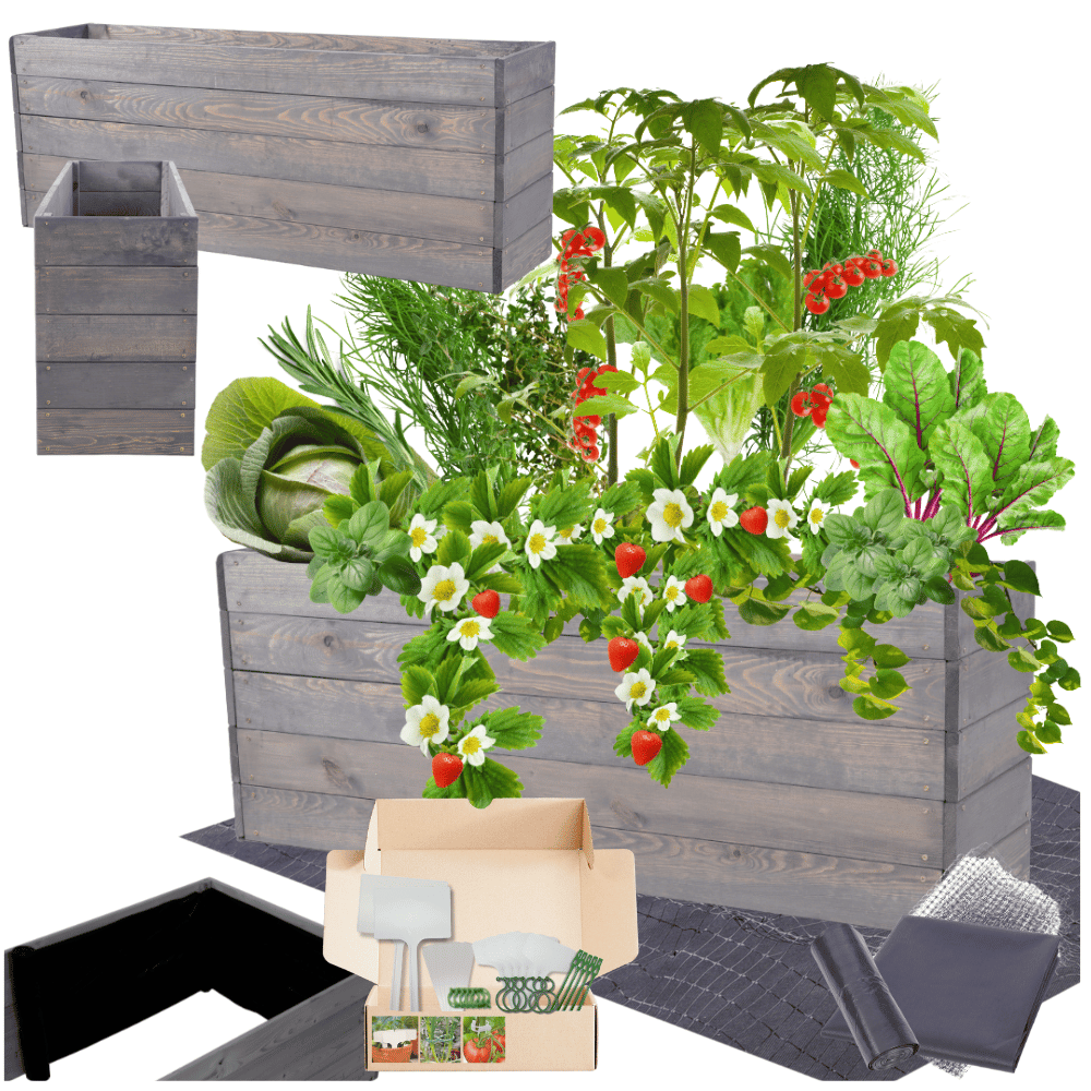 Podwyższona grządka warzywnik skrzynie inspekt donica impregnat 45x120x30