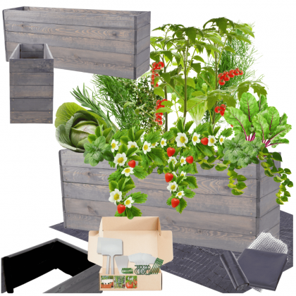 Podwyższona grządka warzywnik skrzynie inspekt donica impregnat 45x120x30