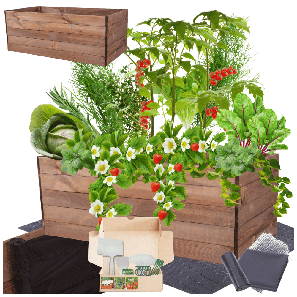 Warzywniak grządka podwyższona skrzynia inspekt donica impregnat 45x120x60