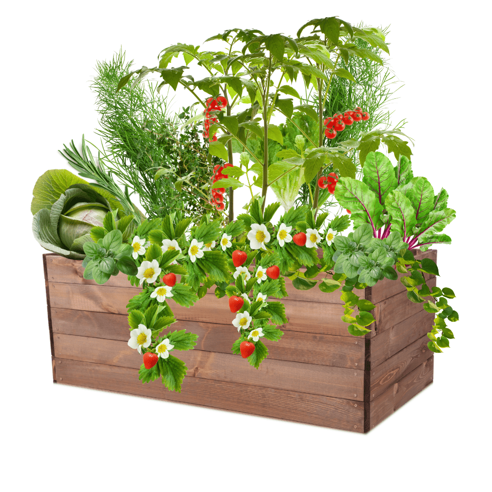 Grządka podwyższona warzywniak skrzynia inspekt donica impregnat 45x120x80