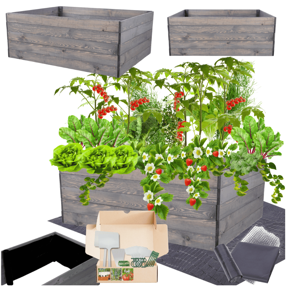 Warzywnik grządka podwyższona skrzynie inspekt donica impregnat 45x120x90