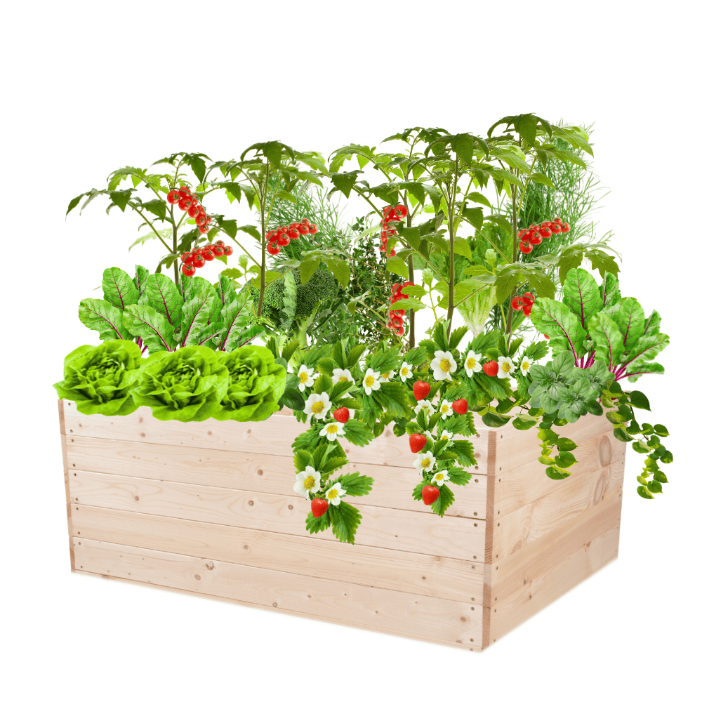 Warzywniak drewniany grządka podwyższona skrzynia doniczka 45x120x100 EKO