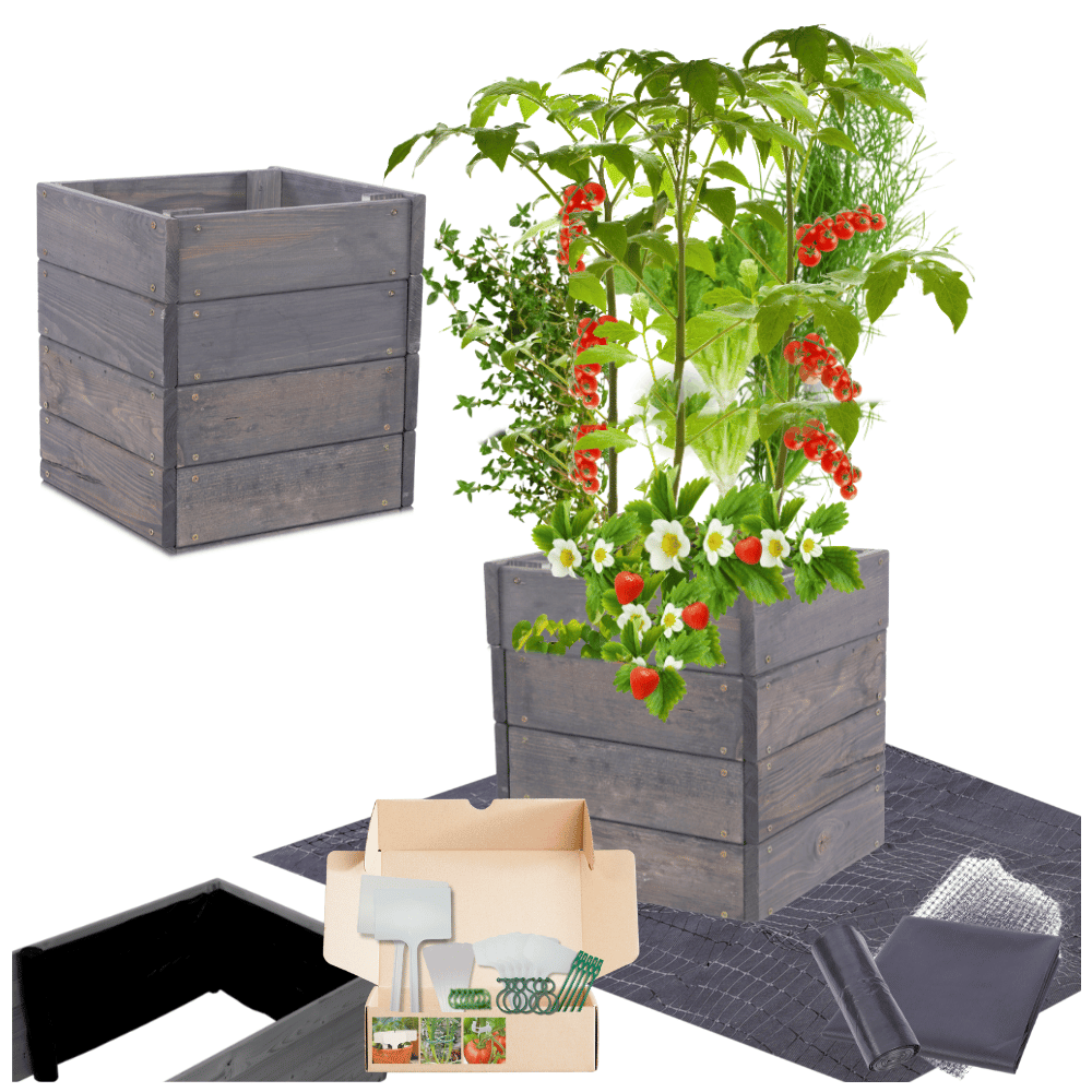 Podwyższona grządka warzywnik drewniany skrzynia inspekt impregnat 36x30x30