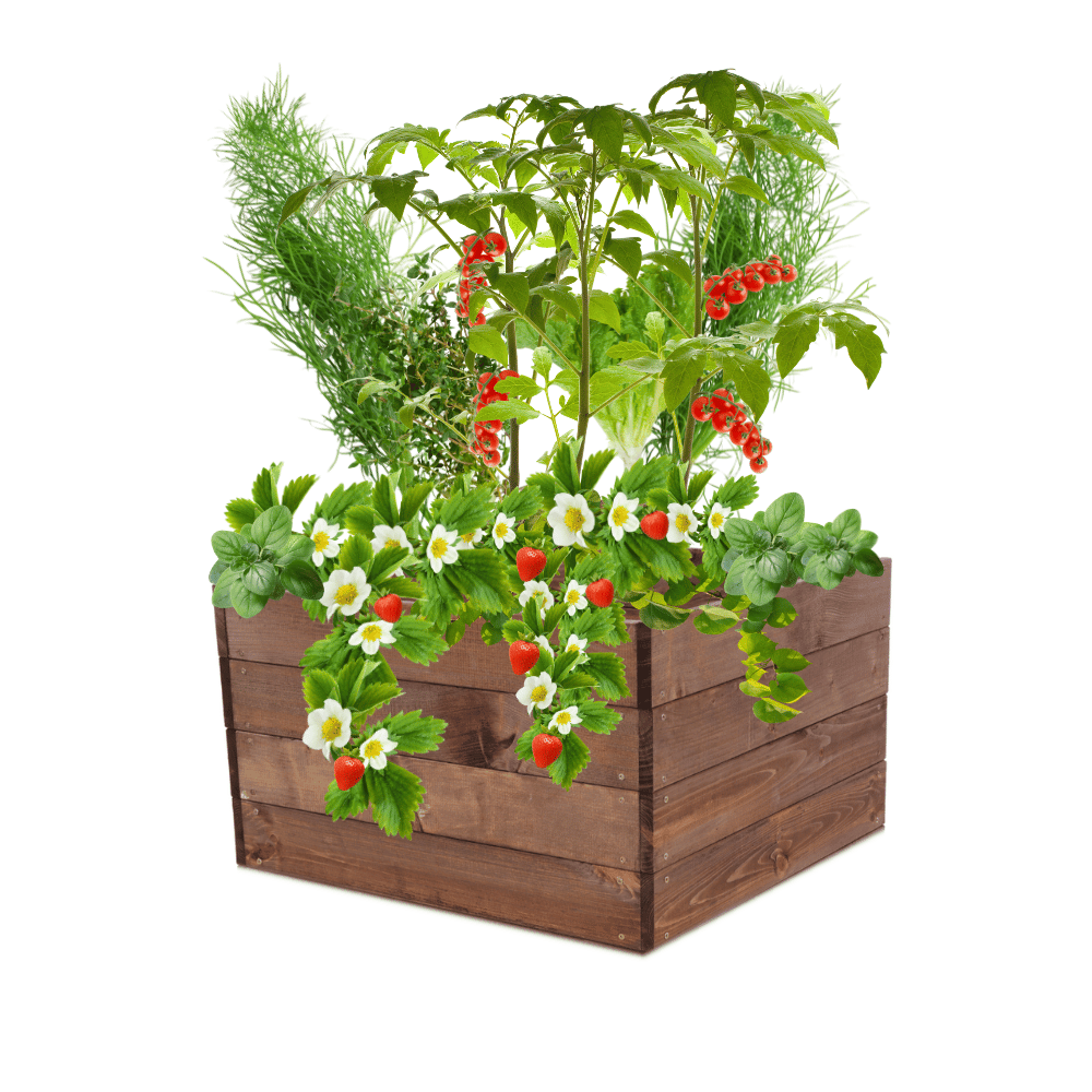 Grządka podwyższona warzywniak skrzynia inspekt donica impregnat 36x80x80