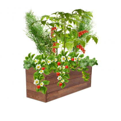 Grządka podwyższona warzywniak drewniany inspekt donica impregnat 36x90x30