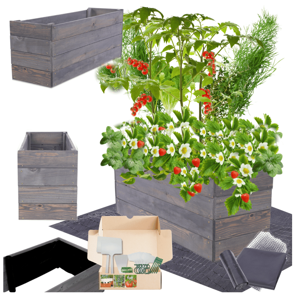 Podwyższona grządka warzywnik drewniany skrzynia inspekt impregnat 36x90x30