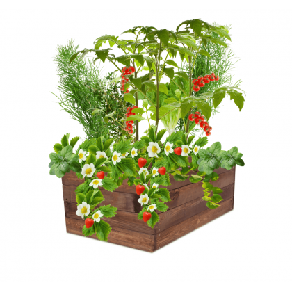 Podwyższona grządka warzywnik skrzynia inspekt donica impregnat 36x90x60