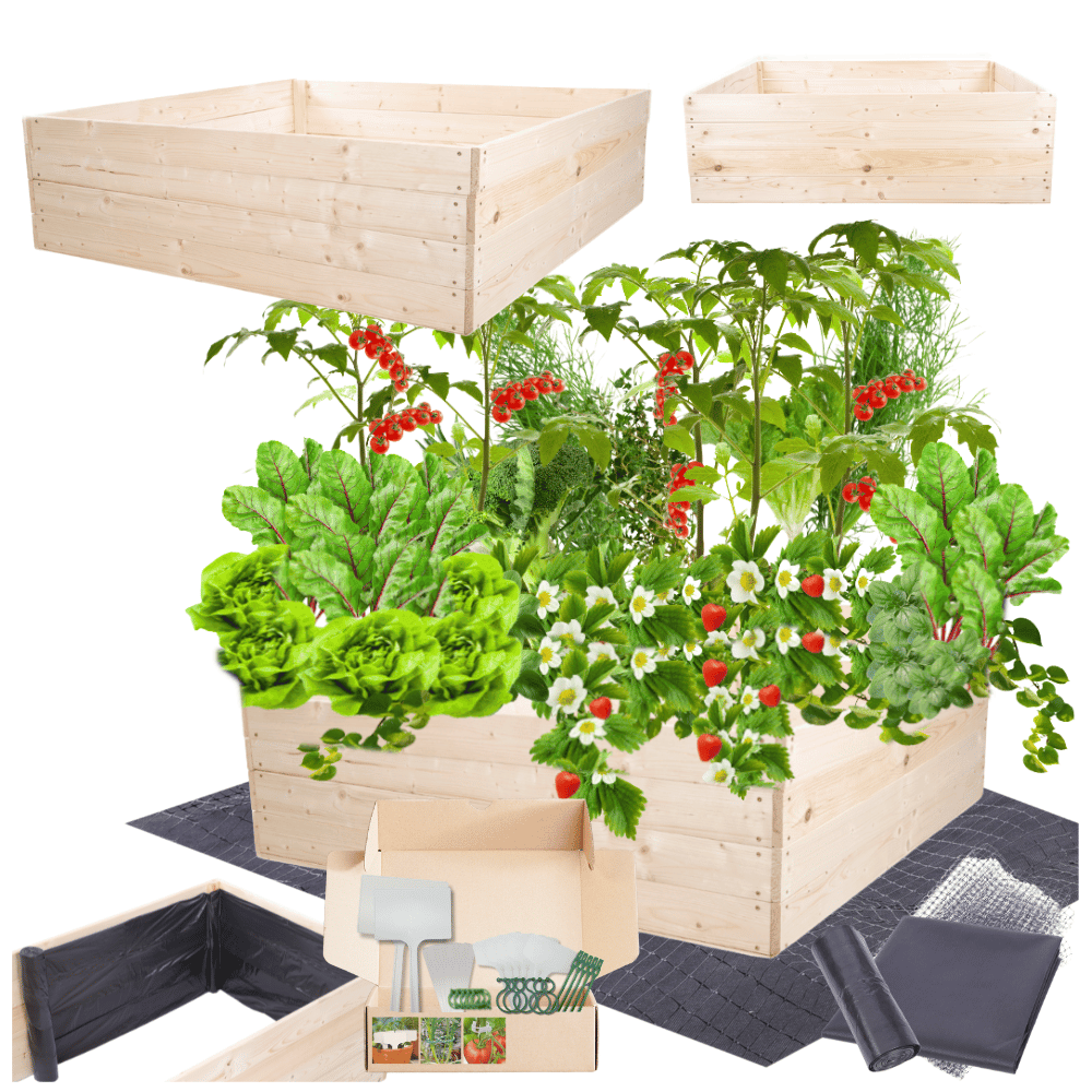 Warzywnik grządka podwyższona skrzynia inspekt donica impregnat 36x100x100